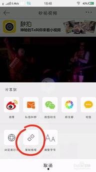 微博搞笑秒拍,欢乐瞬间尽收眼底